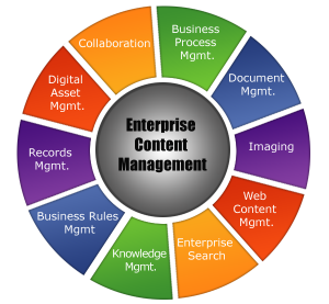 How You Can Attract More Customers with Content Management Solution